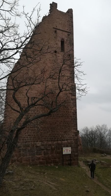 les-trois-chateaux-d-eguisheim_7
