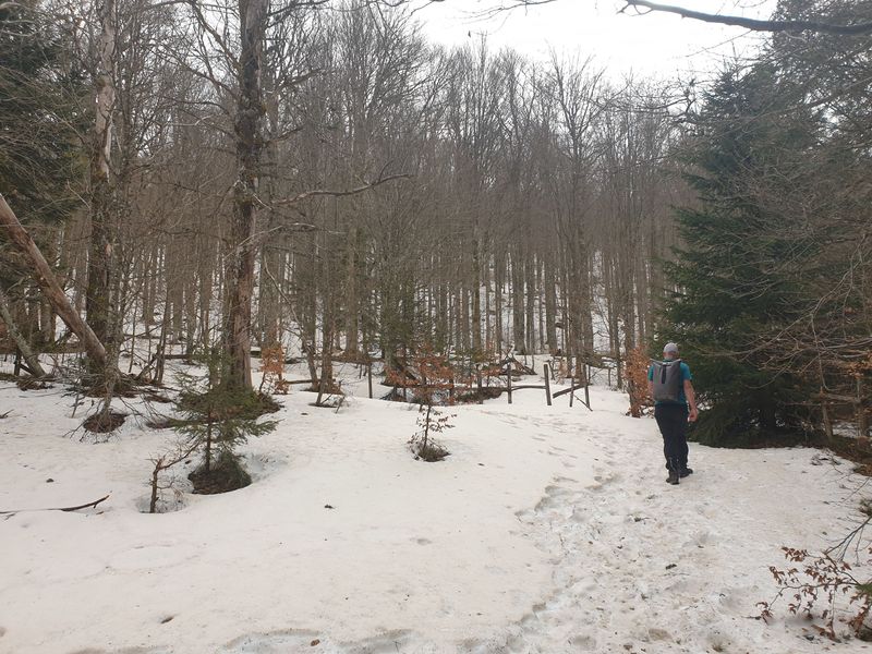 randonnee-en-grand-ballon_33