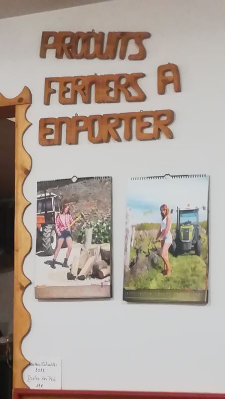 randonnee-vers-col-de-rimbach-et-auberge-de-belacker_27