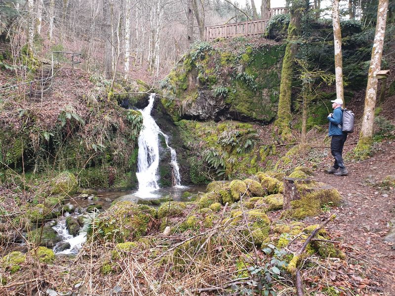 randonnee-vers-col-de-rimbach-et-auberge-de-belacker_26