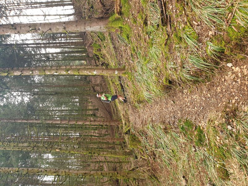 randonnee-aux-gazon-vert-rouge-gazon-lac-puis-col-des-perches_5