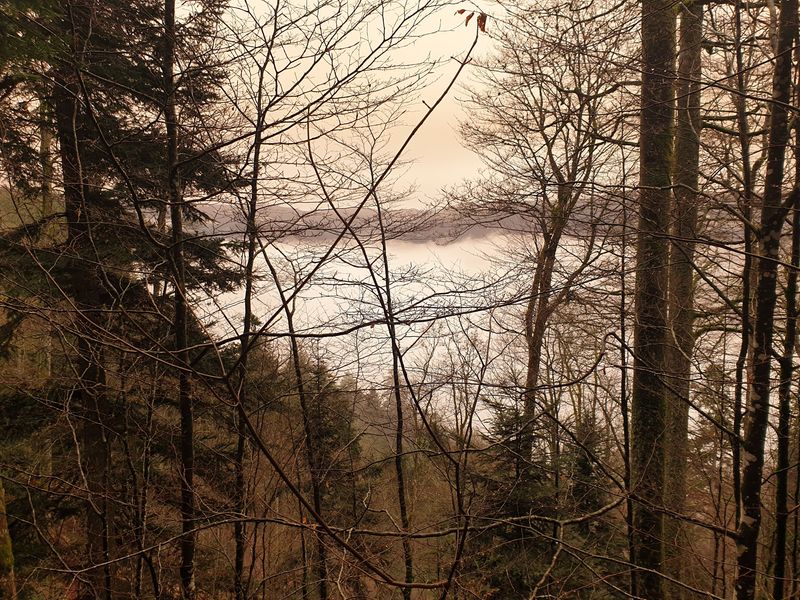 randonnee-vers-col-de-rimbach-et-auberge-de-belacker_11