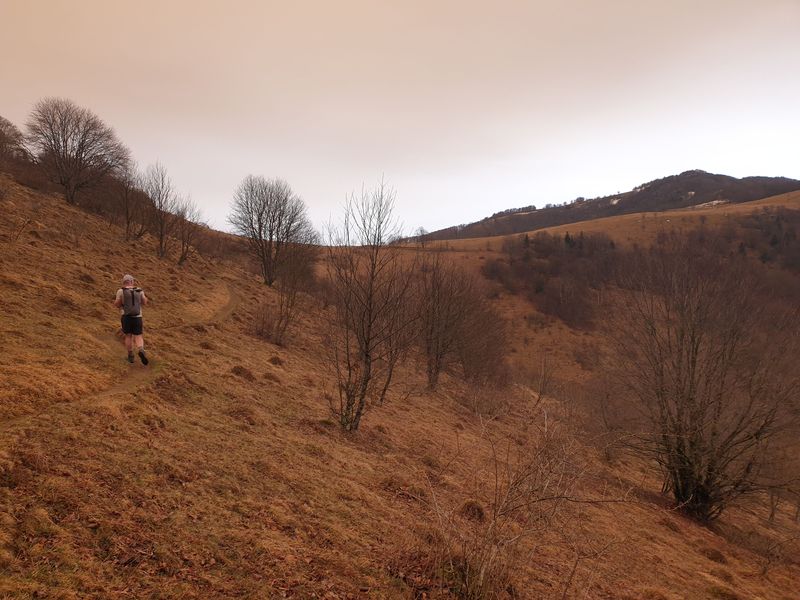 randonnee-vers-col-de-rimbach-et-auberge-de-belacker_13