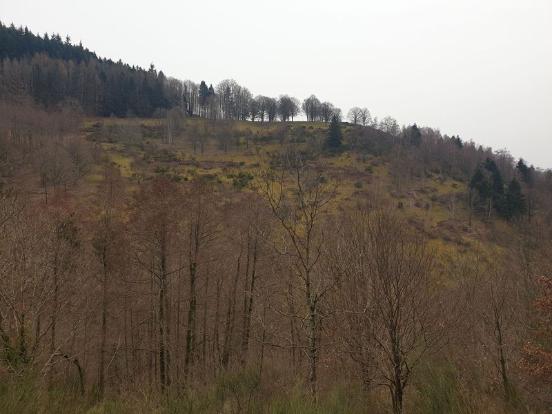 randonnee-en-grand-ballon_40