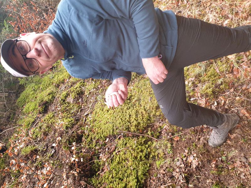 randonnee-vers-col-de-rimbach-et-auberge-de-belacker_23