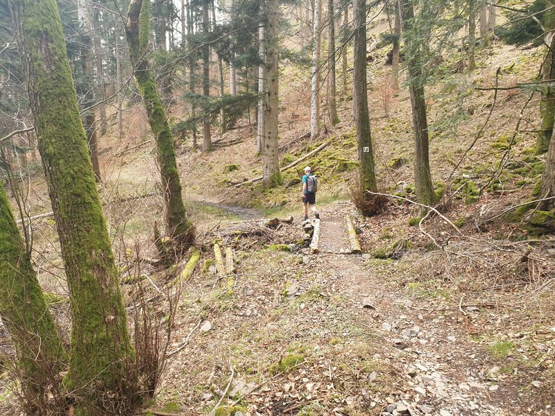 randonnee-en-grand-ballon_39