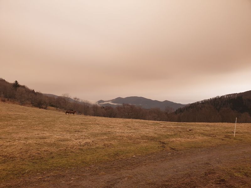 randonnee-vers-col-de-rimbach-et-auberge-de-belacker_18