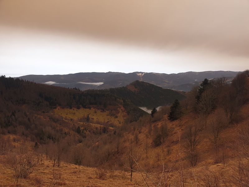 randonnee-vers-col-de-rimbach-et-auberge-de-belacker_15