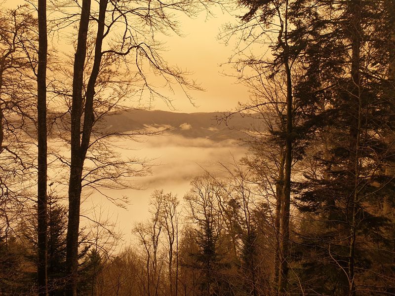 randonnee-vers-col-de-rimbach-et-auberge-de-belacker_12