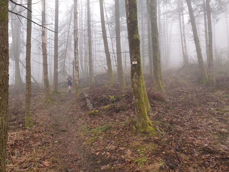 randonnee-vers-col-de-rimbach-et-auberge-de-belacker_5