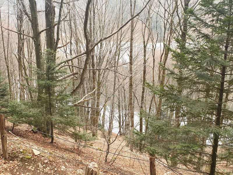 randonnee-aux-gazon-vert-rouge-gazon-lac-puis-col-des-perches_18