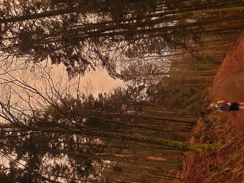 randonnee-vers-col-de-rimbach-et-auberge-de-belacker_6