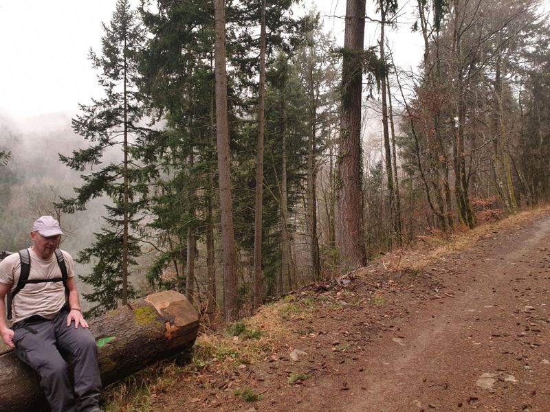 randonnee-vers-col-de-rimbach-et-auberge-de-belacker_3