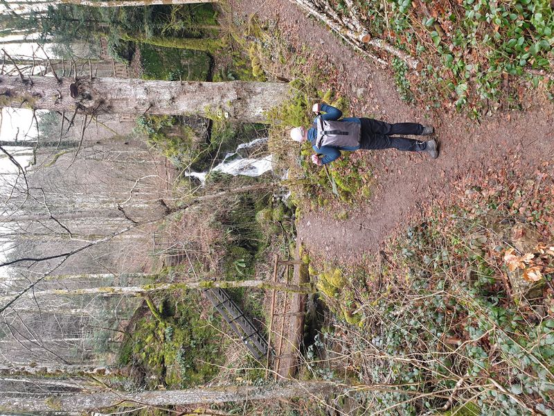 randonnee-vers-col-de-rimbach-et-auberge-de-belacker_25