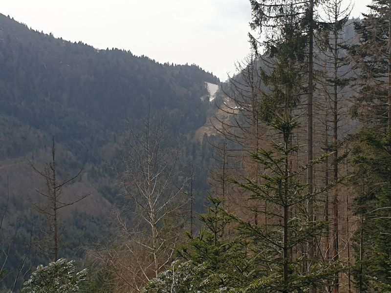 randonnee-aux-gazon-vert-rouge-gazon-lac-puis-col-des-perches