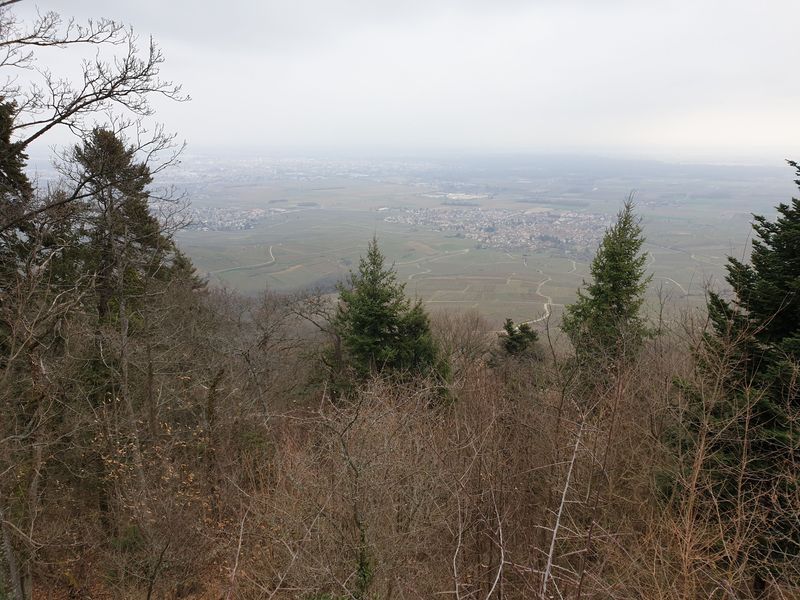 les-trois-chateaux-d-eguisheim_4