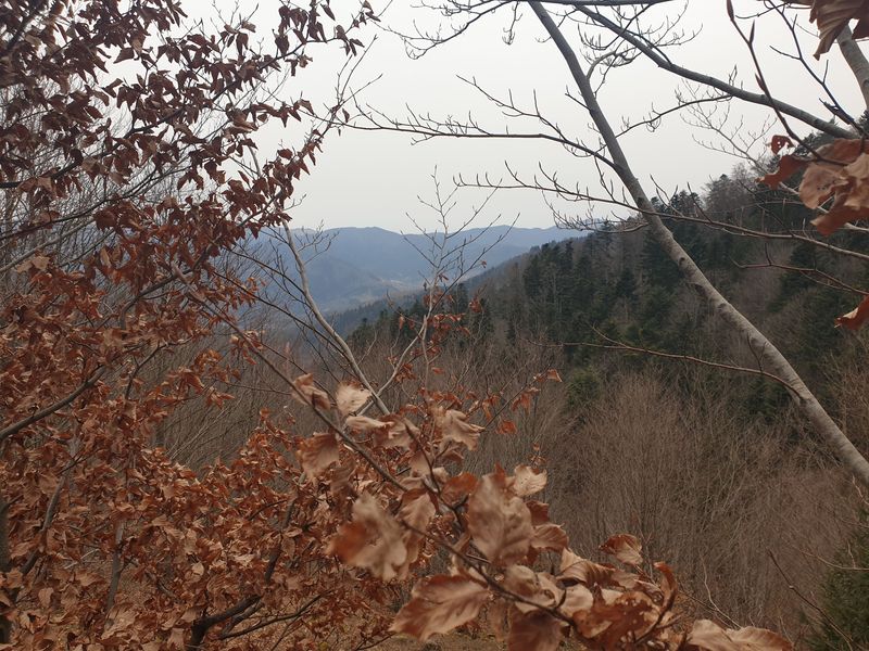 randonnee-en-grand-ballon_37