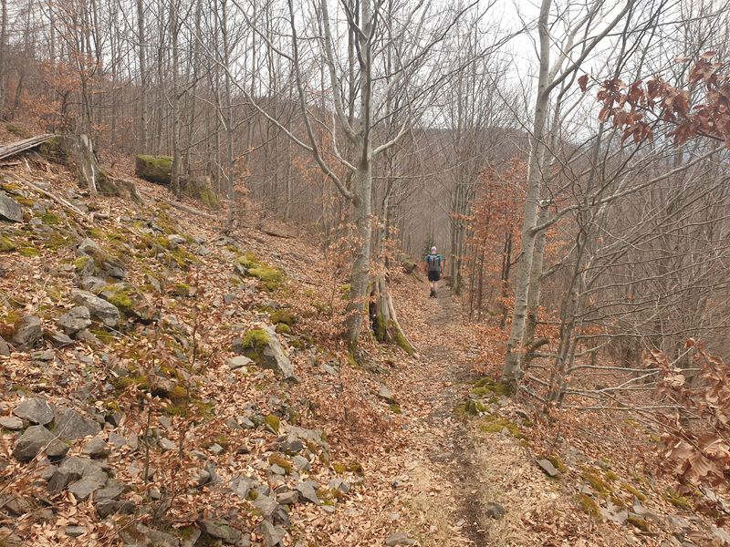 randonnee-en-grand-ballon_38