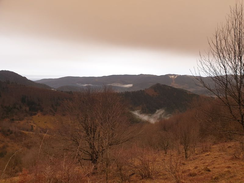 randonnee-vers-col-de-rimbach-et-auberge-de-belacker_14