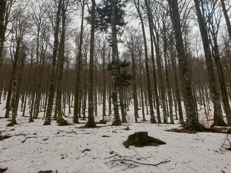 randonnee-en-grand-ballon_34