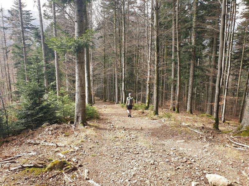 randonnee-aux-gazon-vert-rouge-gazon-lac-puis-col-des-perches_2