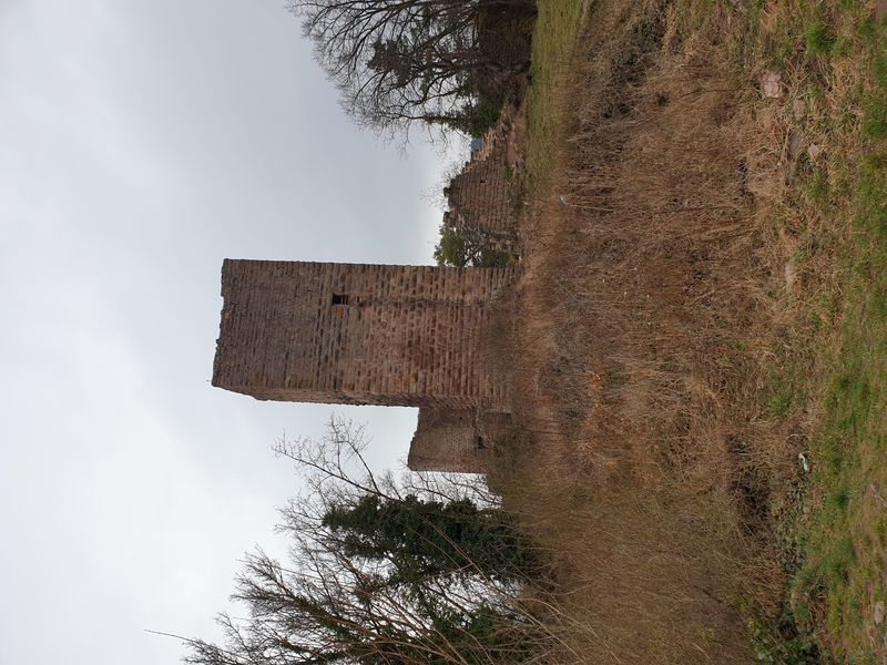 les-trois-chateaux-d-eguisheim_10