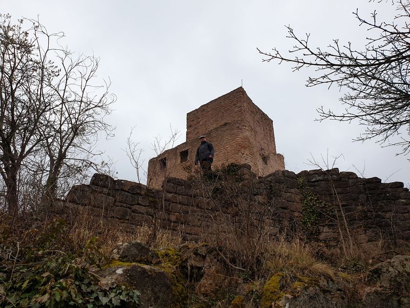 les-trois-chateaux-d-eguisheim_8