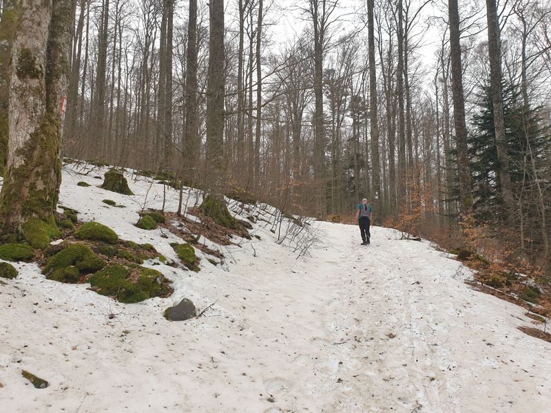 randonnee-en-grand-ballon_32