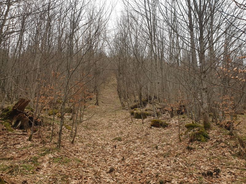 randonnee-aux-gazon-vert-rouge-gazon-lac-puis-col-des-perches_22