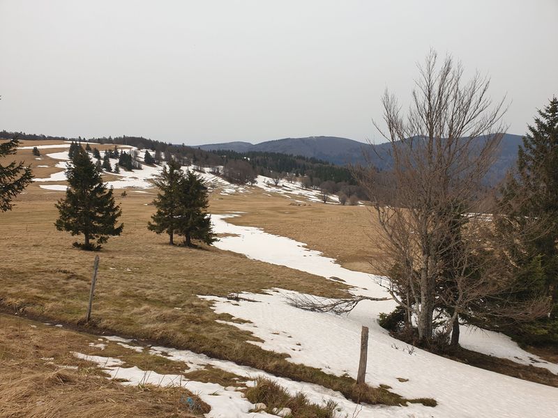 randonnee-en-grand-ballon_35