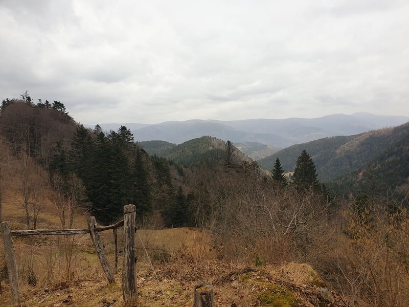 randonnee-aux-gazon-vert-rouge-gazon-lac-puis-col-des-perches_8