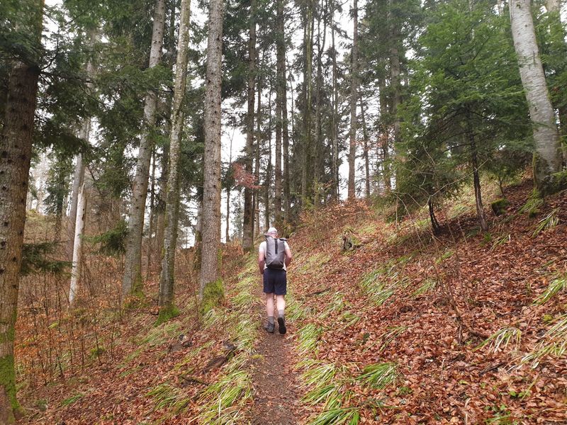 randonnee-vers-col-de-rimbach-et-auberge-de-belacker_4