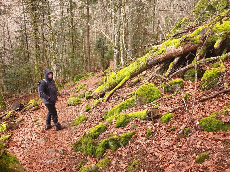 randonnee-vers-col-de-rimbach-et-auberge-de-belacker_21