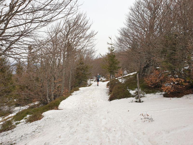 randonnee-en-grand-ballon_23