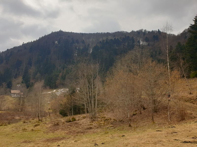 randonnee-aux-gazon-vert-rouge-gazon-lac-puis-col-des-perches_7