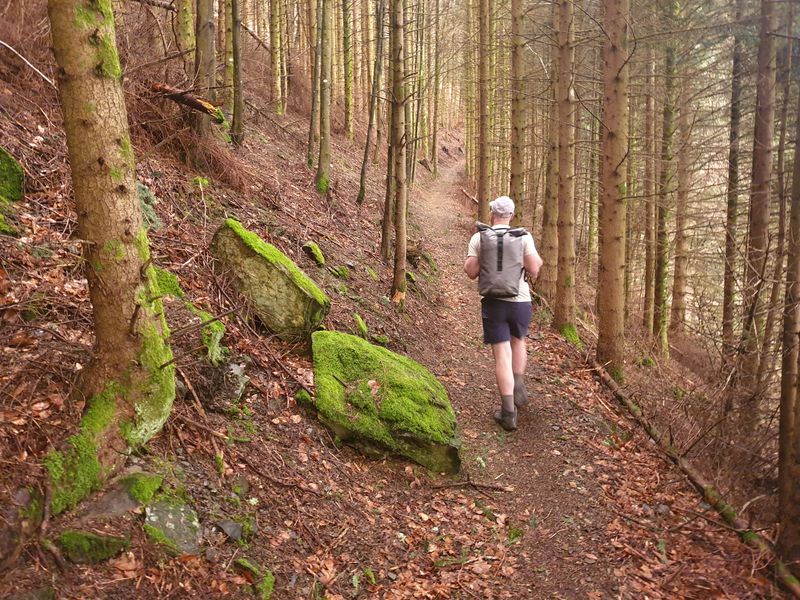 randonnee-vers-col-de-rimbach-et-auberge-de-belacker_10