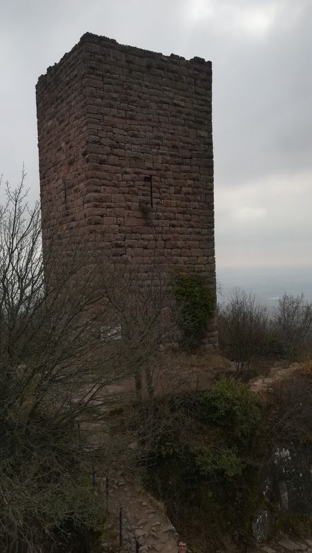 les-trois-chateaux-d-eguisheim_11