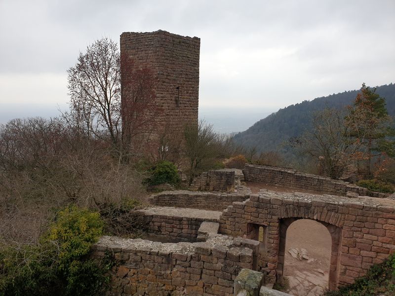 les-trois-chateaux-d-eguisheim_9