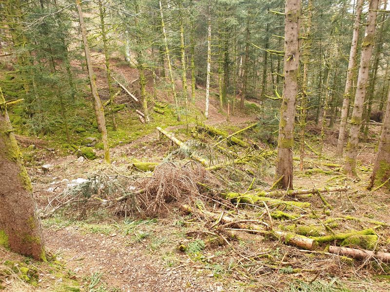 randonnee-aux-gazon-vert-rouge-gazon-lac-puis-col-des-perches_4